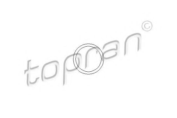 109639 Hans Pries (Topran) Втулка клапанної кришки